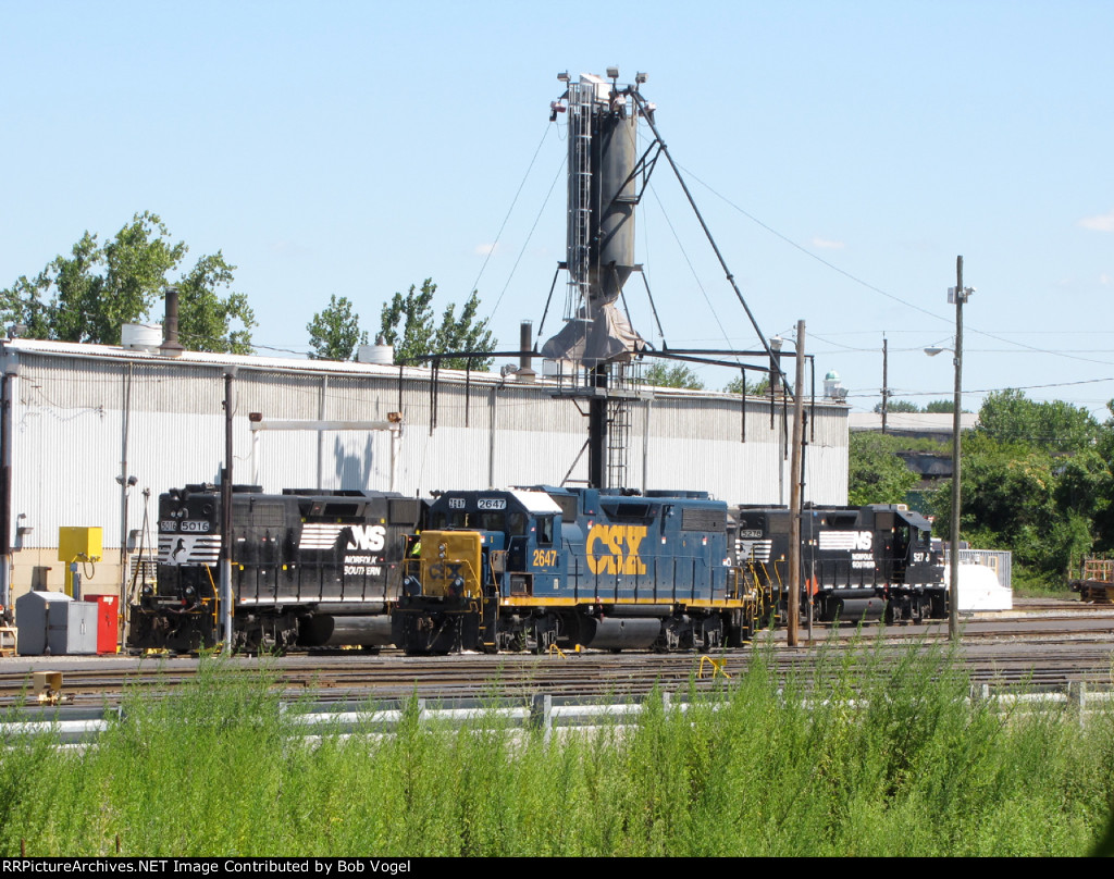 NS 5016, CSX 2647, NS 5278